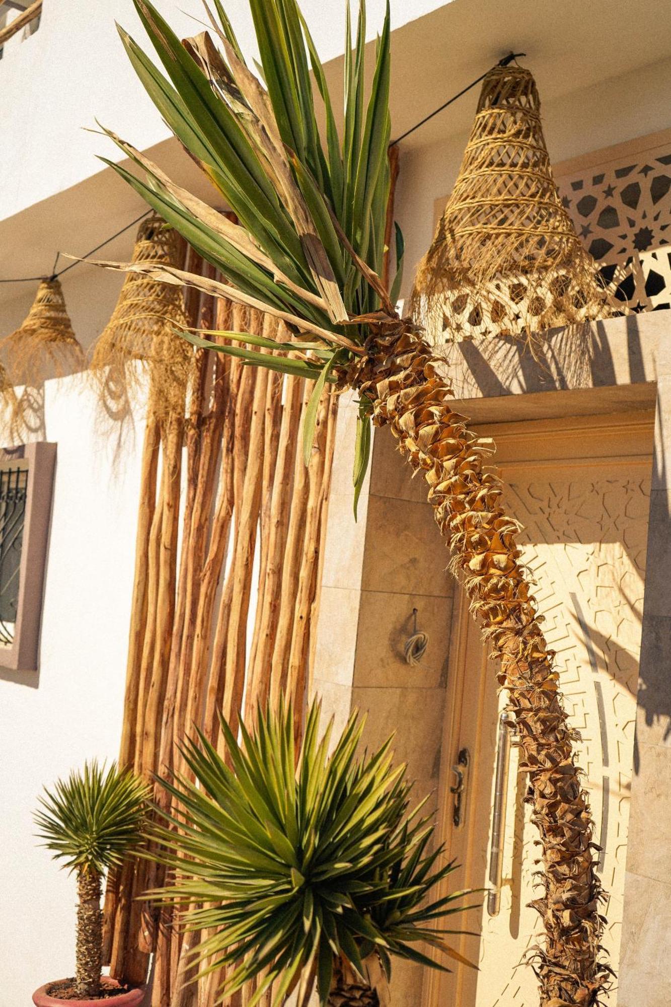 Wild Surf Morocco Bed & Breakfast Tamraght Exterior foto